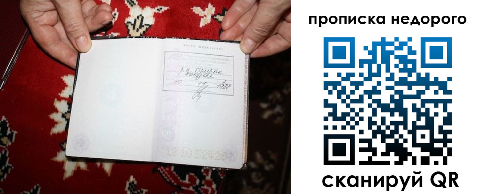 прописка гарантия в Майкопе